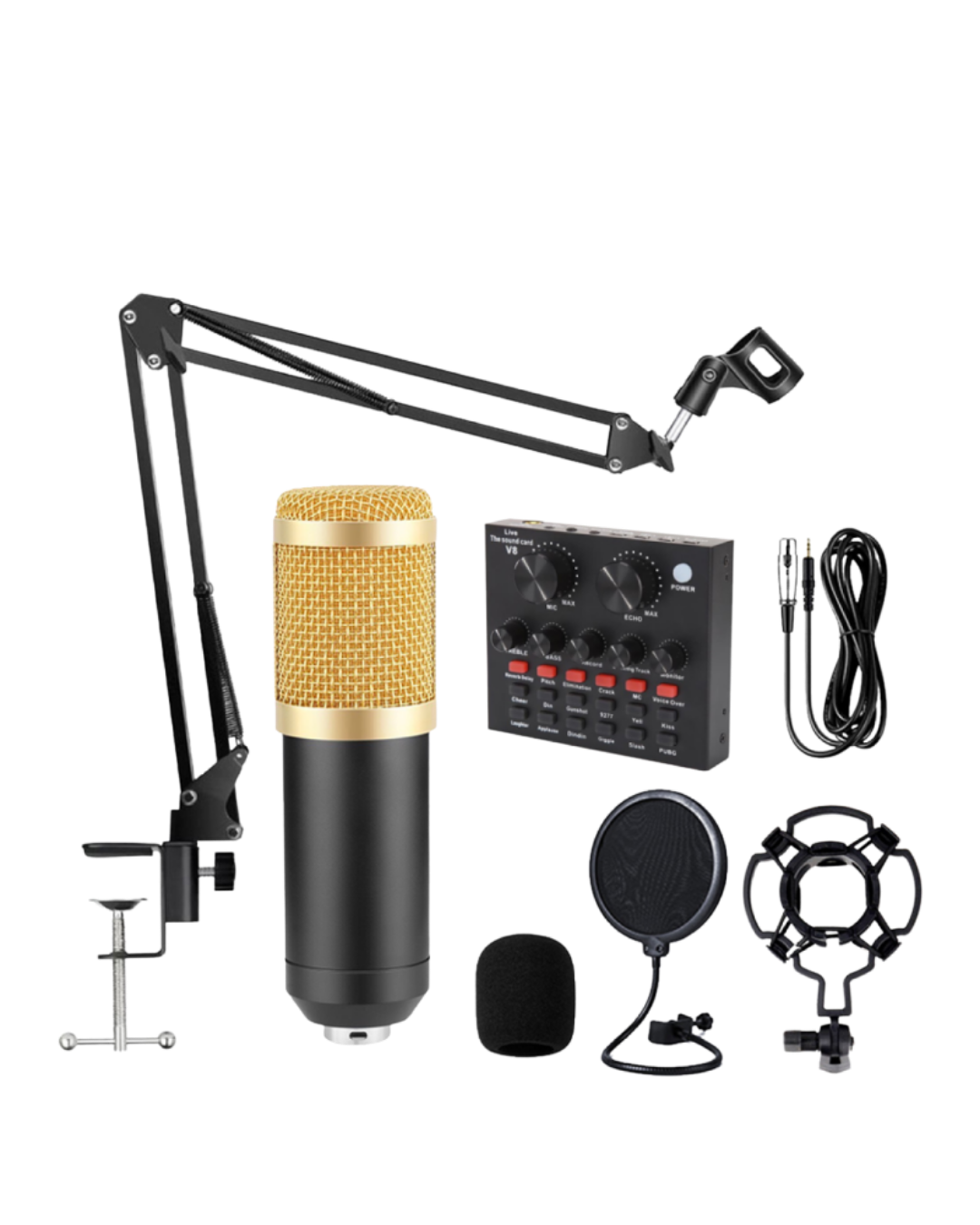 Professional Mic Kit