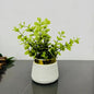 Artificial Green Plant with Decorative Ceramic Pot